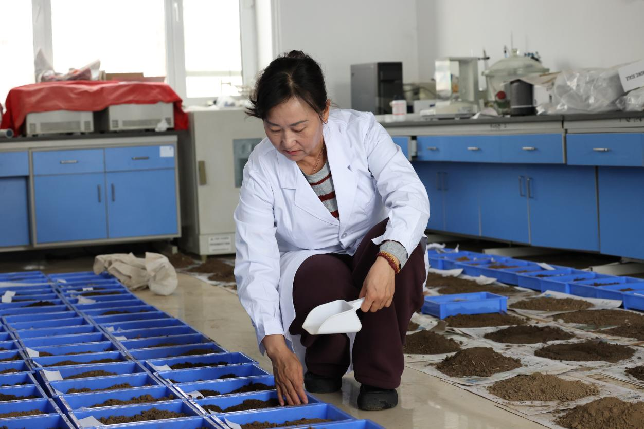 1763710582412089.png 图片1.png