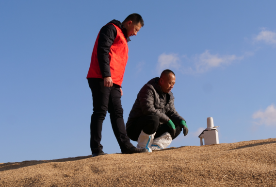 1763711559574910.png 11.png