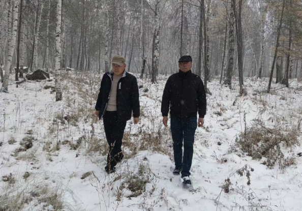 1763711654592117.png 11.png