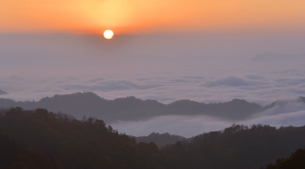 1763712057519212.png 22.png