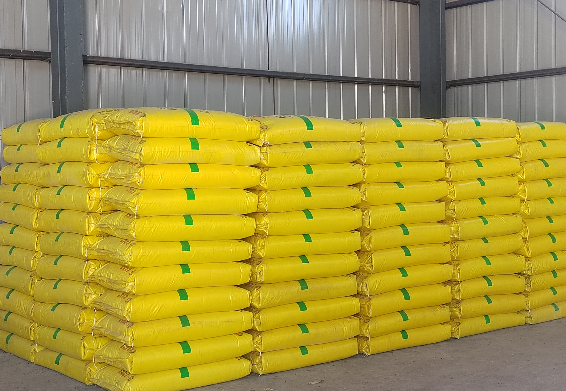 1763713140496599.png 11.png