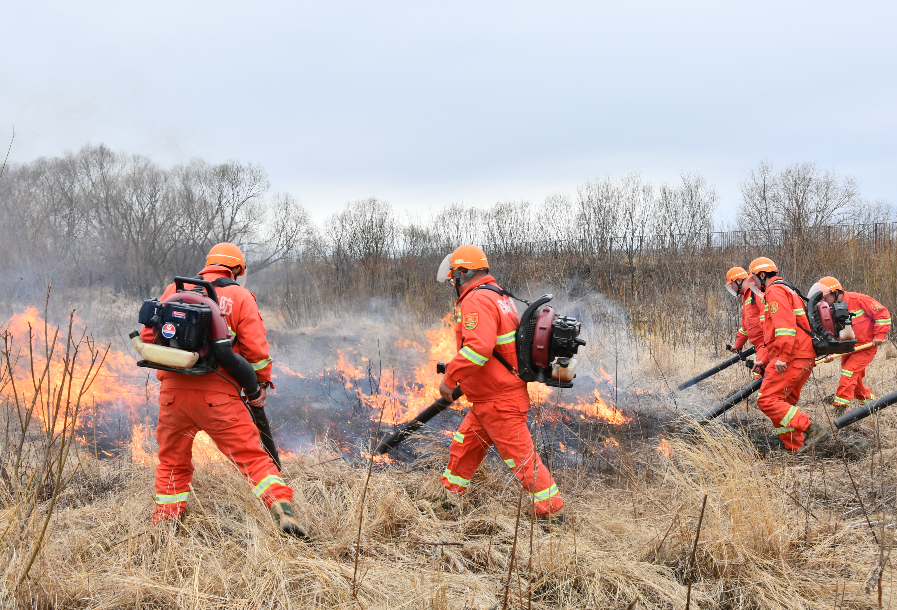 1763713515384997.png 22.png