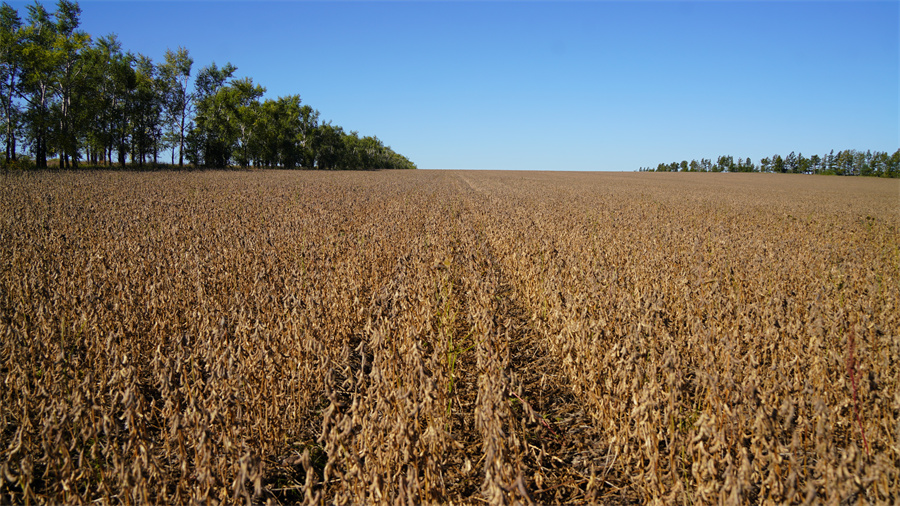 1763713702872684.jpg DSC00599.JPG