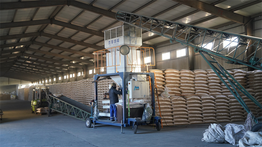 1763713711442989.jpg DSC04859.JPG