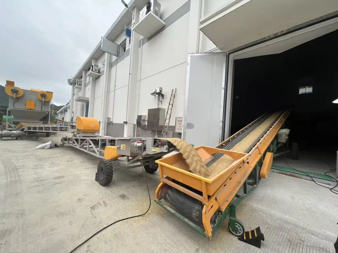 1763714145255710.png 储备粮入仓.png