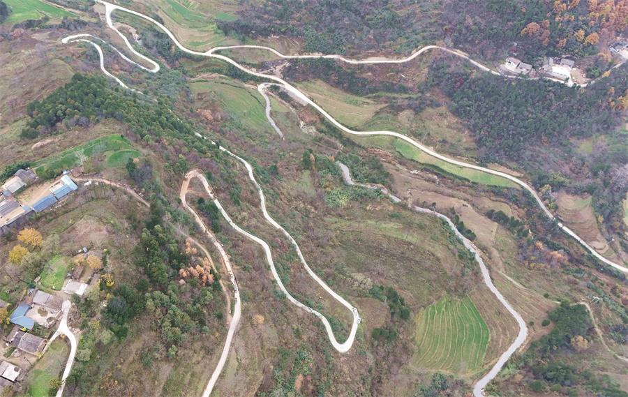 1763715624803074.jpg 图片1.jpg