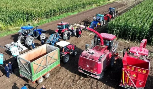 1763716340144308.png 照片1.png