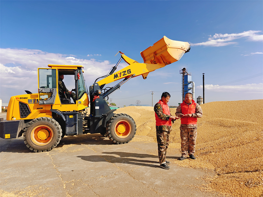 1763716727844125.jpg 逊克农场有限公司党员志愿服务队正在查看晒场大豆安全存放情况 霍春旭摄.jpg