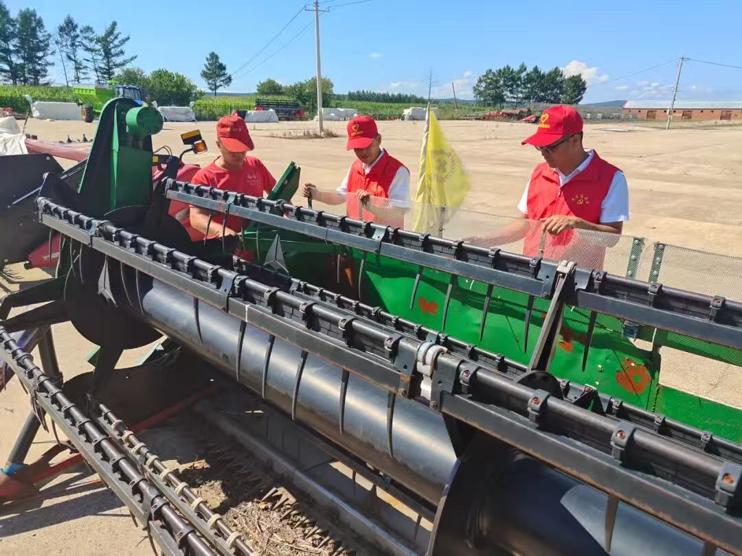 1763716881834684.jpg 党员助力农业生产.jpg