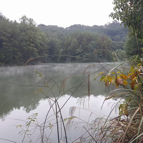 1763717068668132.png 图片3.png