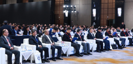 1763951343646460.png 11.png