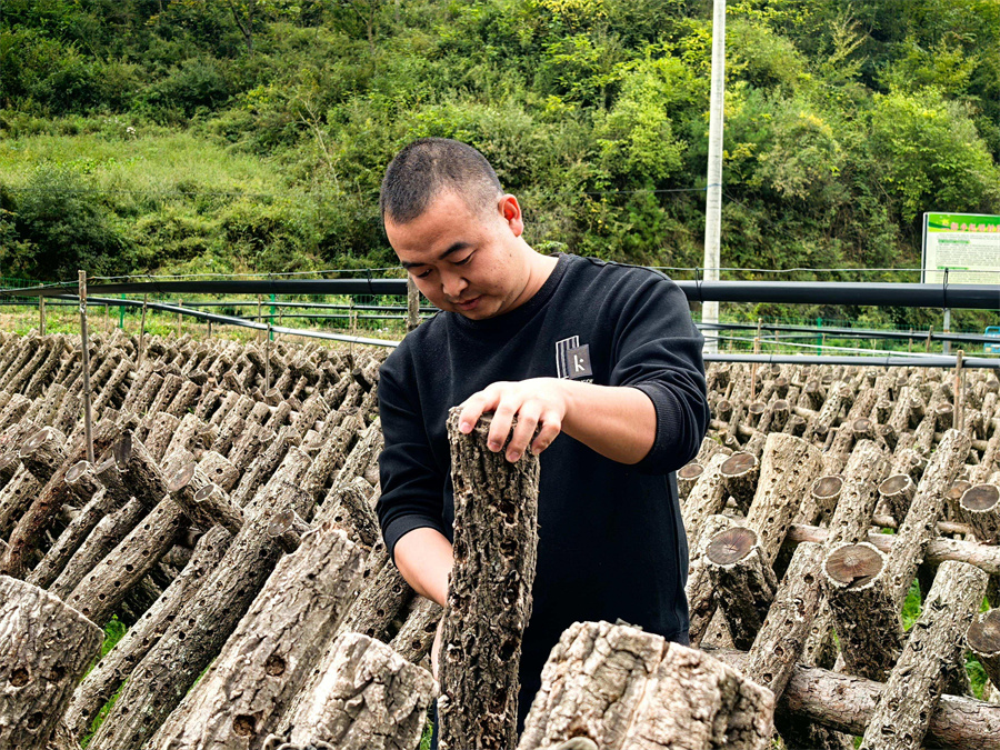 1763953638152020.jpg 图片2.jpg