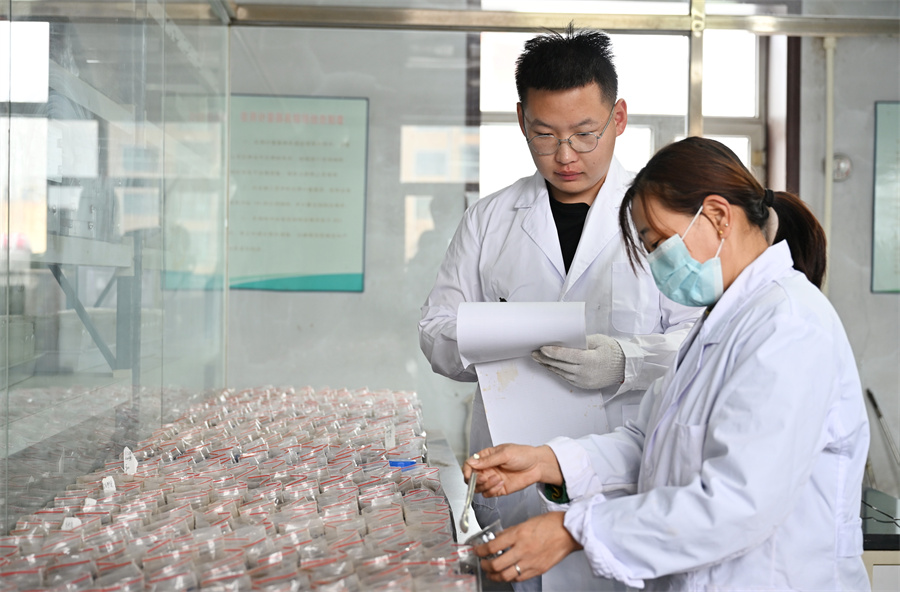 1763966647200526.jpg DSC_9162_副本.jpg