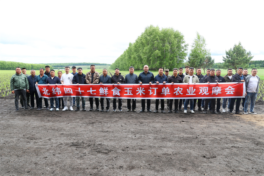 1763966992699815.jpg 图片1.jpg