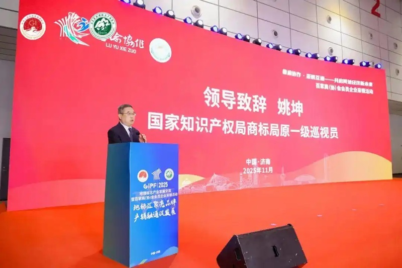 1763969349249078.jpg 11.jpg