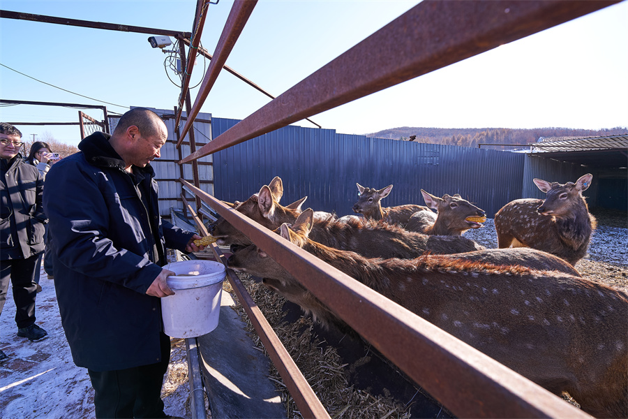 1763973922513256.jpg 图片1.jpg