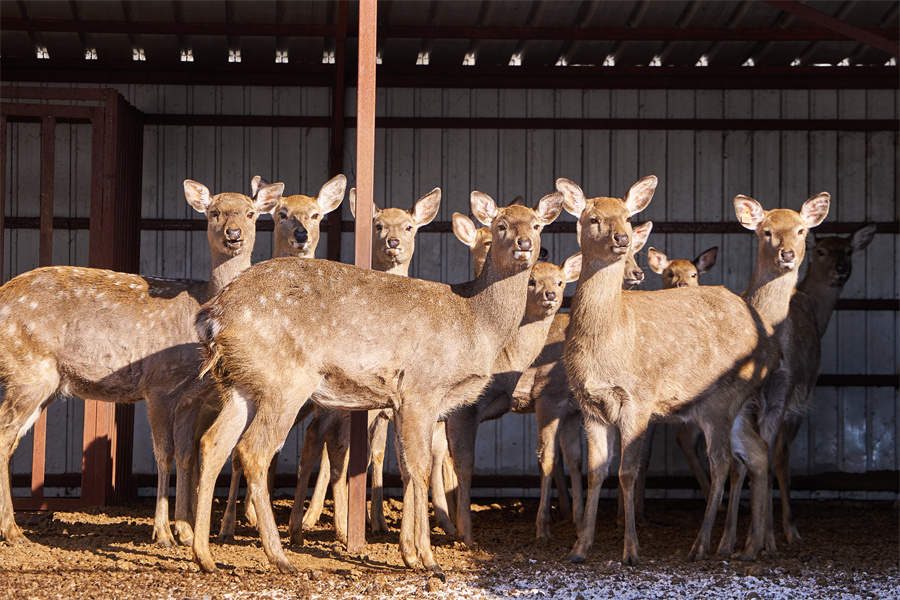 1763973961691740.jpg 图片2.jpg