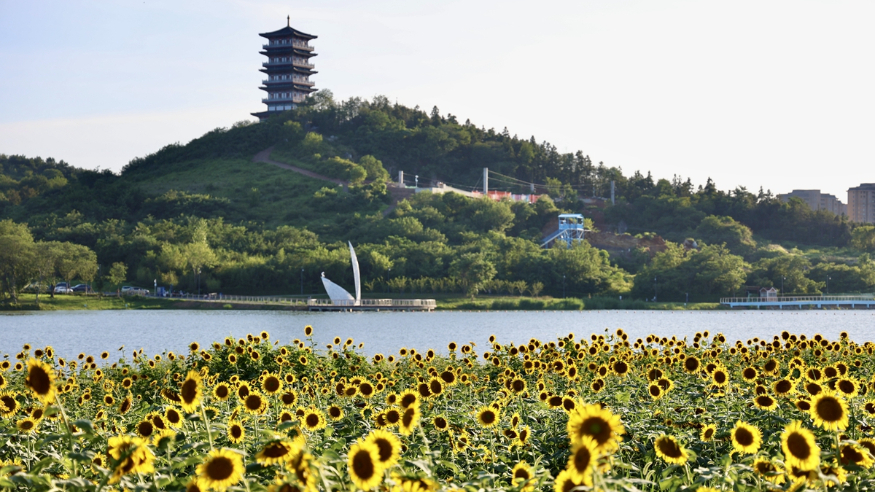 中国经济样本观察·县域样本篇丨从“养在深闺”到惊艳世人——揭秘庐江之变的密码