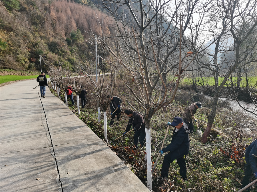 1764059953688657.jpg 图片3.jpg