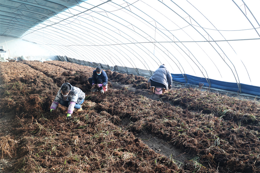 1764138442938384.jpg 地块整理.JPG