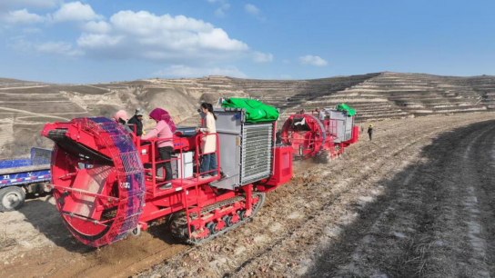 1764145346365792.png 羊圈沟村农机合作社马铃薯联合收获机作业现场.png