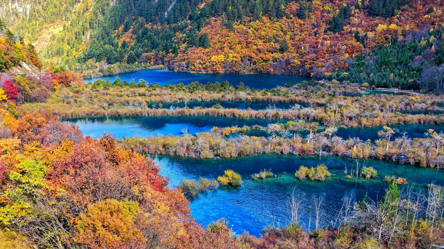 中国经济样本观察·县域样本篇丨不简单！这个“沟”撑起百亿文旅产业