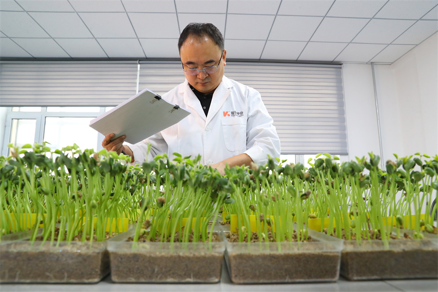 1764226467170757.jpg CS6I2232.JPG