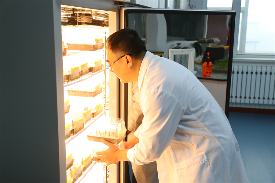 1764226472896025.jpg CS6I2199.JPG