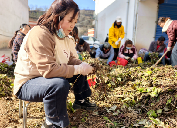 1764226514759027.png 11.png