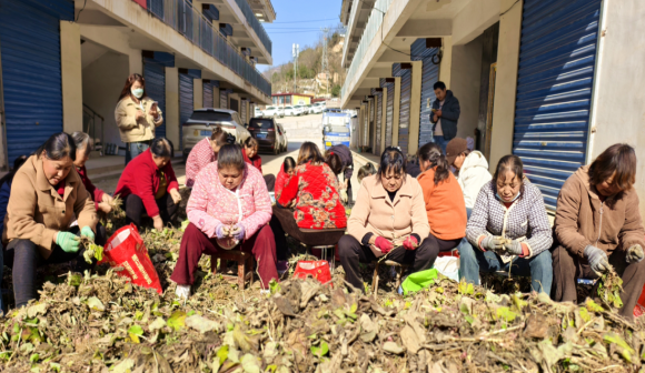 1764226523816914.png 22.png