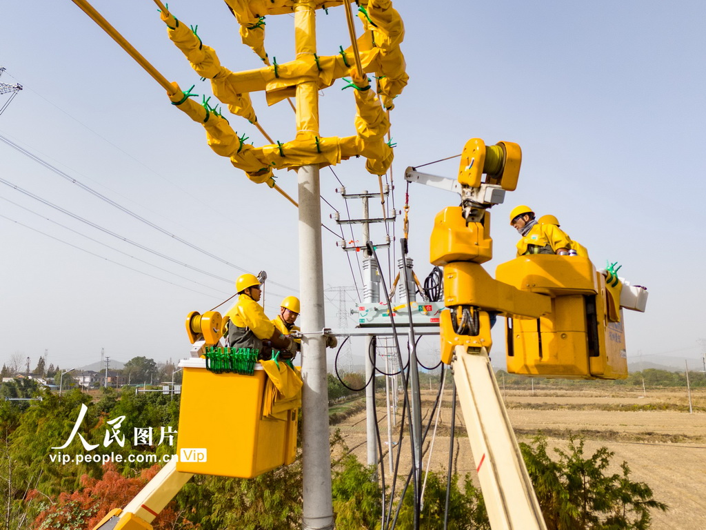浙江德清：故障处置“加速度” 供电可靠“稳度冬”【2】