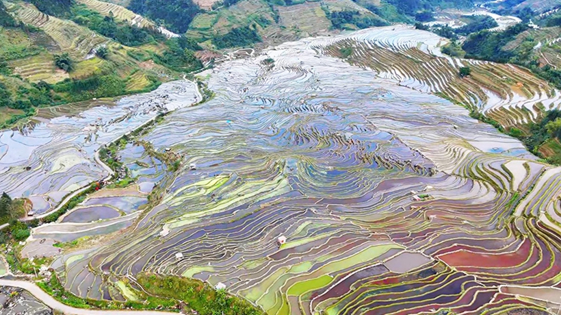冬日限定！云南腊姑梯田“鎏金眼影盘”上线