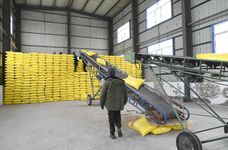 1764310748693469.png 11.png