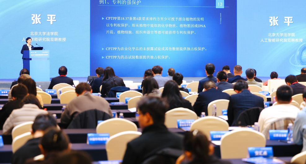 1764310870899116.png 11.png