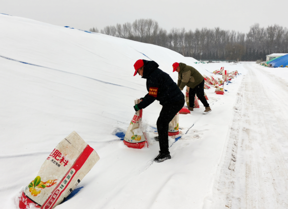 1764558947907826.png 11.png