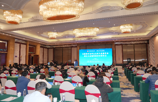 1764559567789644.png 11.png