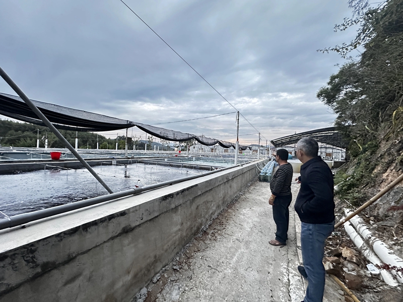 1764569391762188.jpg 云霄县海洋与渔业局窗口工作人员到养殖场勘察.jpg