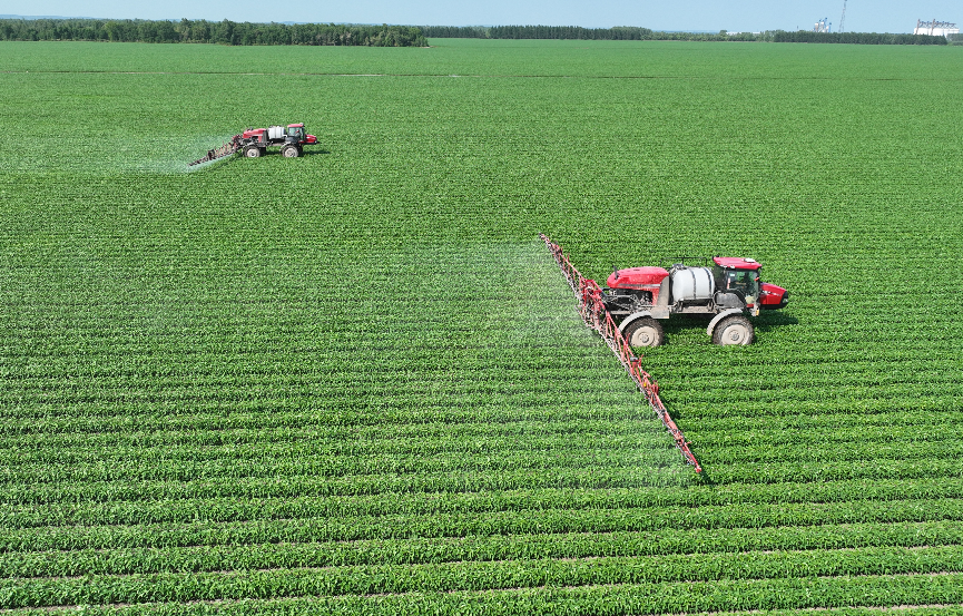 1764572620520739.png 33.png