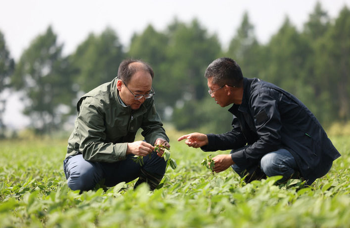 1764572630454511.png 11.png