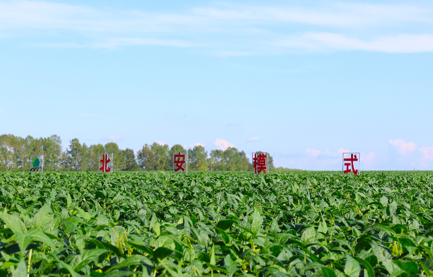 1764572651305745.png 22.png