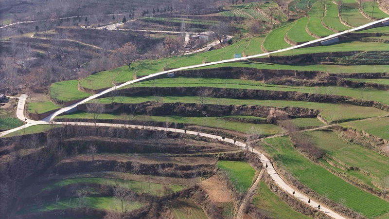 1764658504159097.jpg 1.jpg