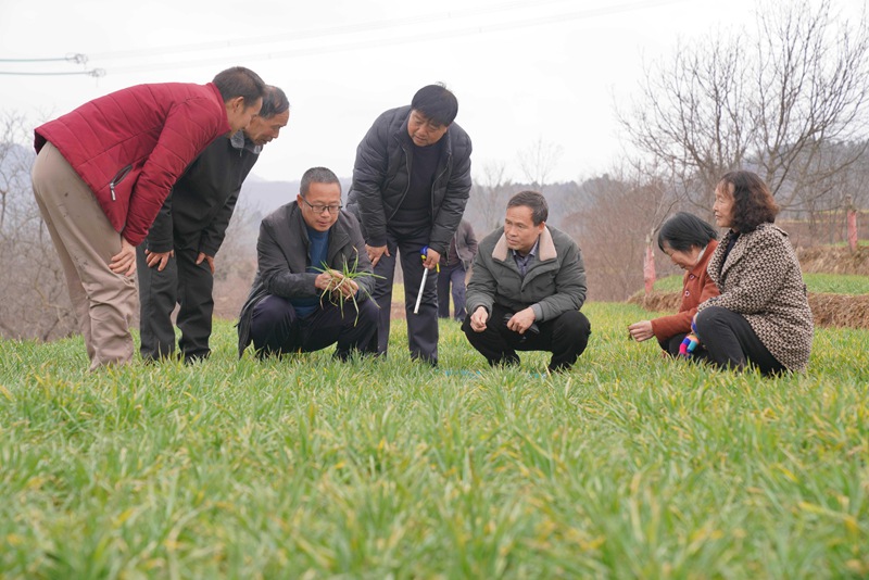 1764658511601861.jpg 2.jpg