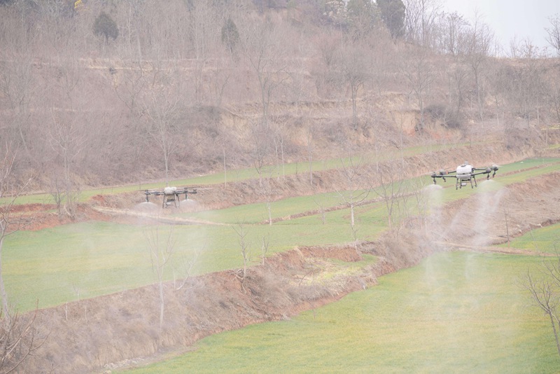 1764658516911305.jpg 3.jpg