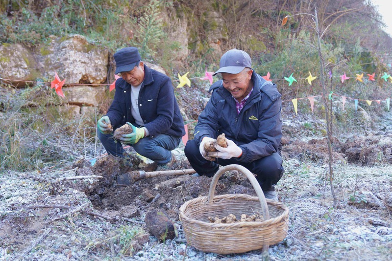 1764662930739922.jpg 2.jpg