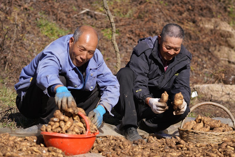 1764662937903950.jpg 3.jpg