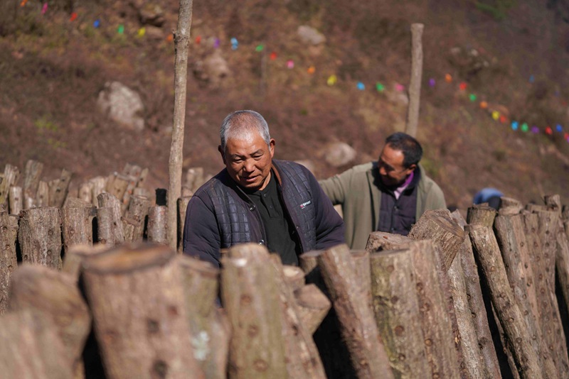 1764662943876449.jpg 4.jpg