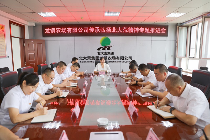龙镇农场召开传承弘扬北大荒精神专题推进会.JPG
