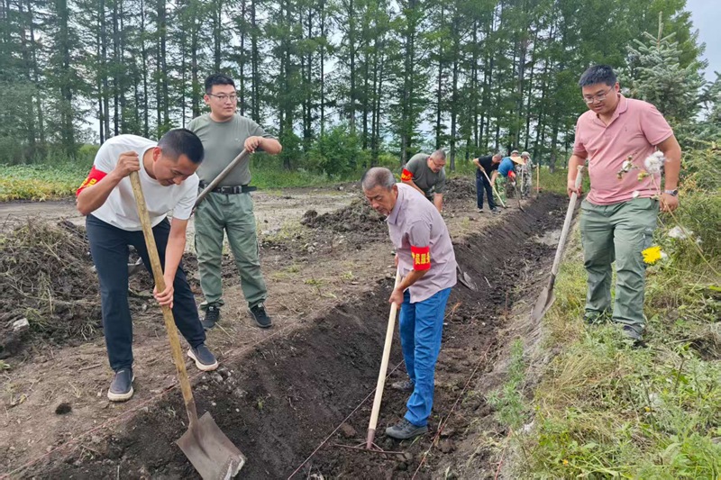 龙镇农场第五管理区践行北大荒精神清淤修路护秋忙.jpg