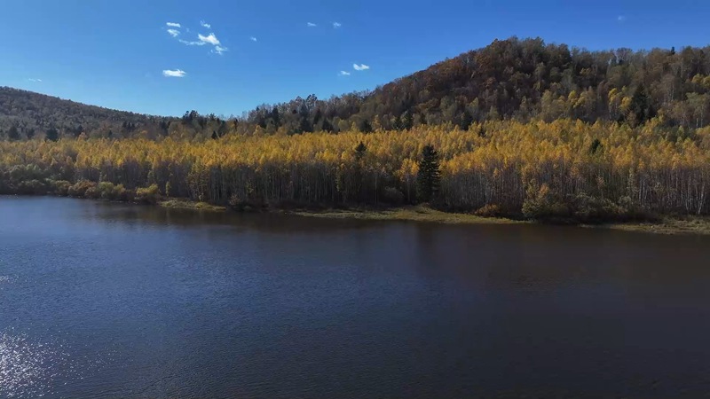 1764665238755293.jpg 伊春市汤旺县入选2025年生态文明建设示范区拟命名名单.mp4_snapshot_03.07.800.jpg