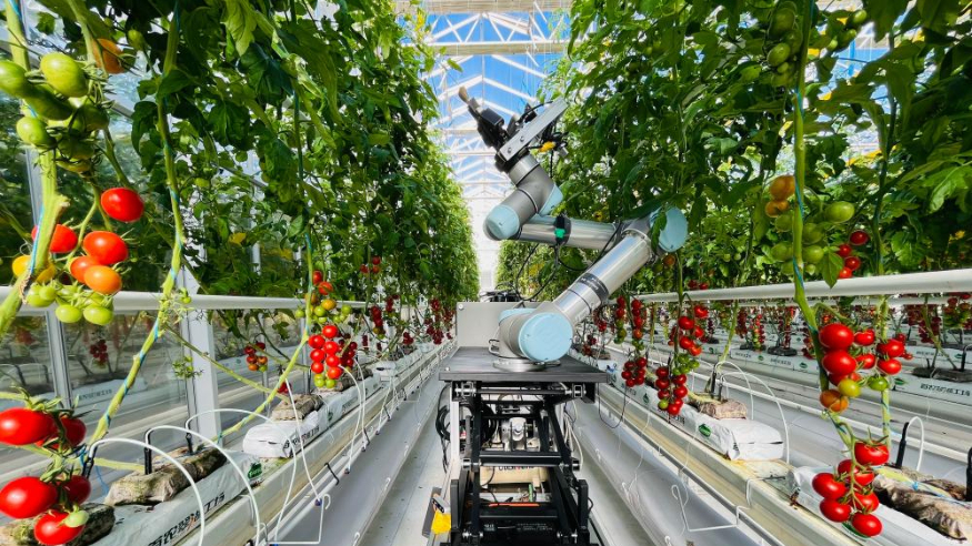 特稿丨中国创新为什么行——国际学界关注中国科研发展之道